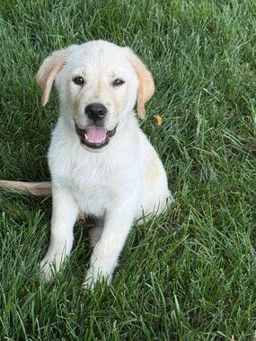 Meet your Posher, Pam